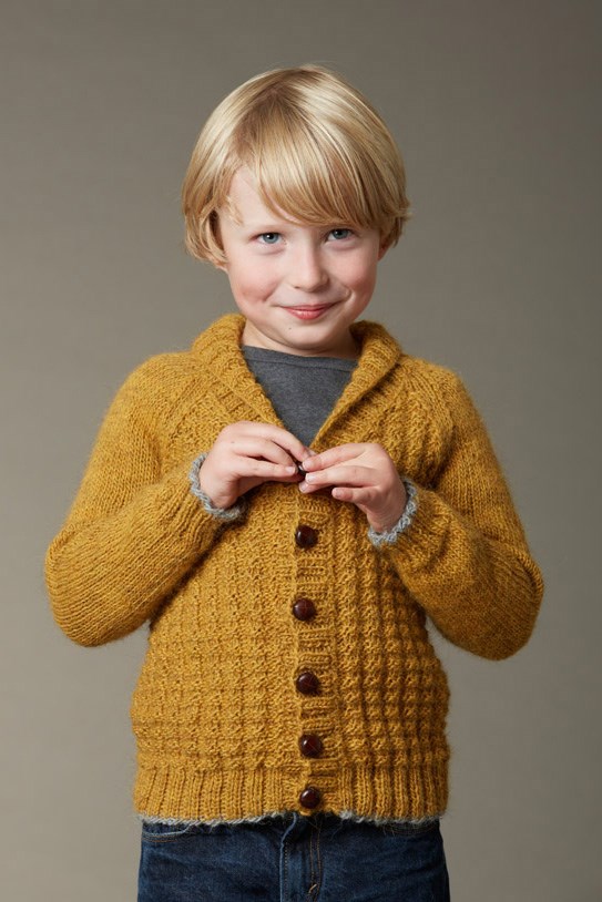 113 CARL-EMILS CARDIGAN PDF