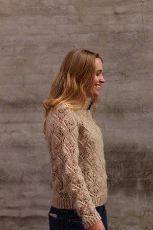 210 Hortensia sweater